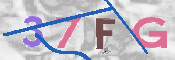 画像に表示された文字を入力して下さい
