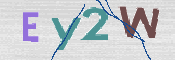 画像に表示された文字を入力して下さい