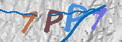 画像に表示された文字を入力して下さい
