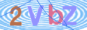 画像に表示された文字を入力して下さい