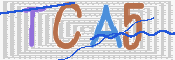 画像に表示された文字を入力して下さい