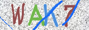 画像に表示された文字を入力して下さい