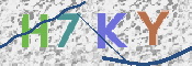画像に表示された文字を入力して下さい
