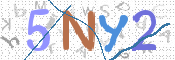 画像に表示された文字を入力して下さい