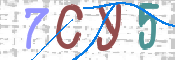 画像に表示された文字を入力して下さい