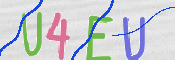 画像に表示された文字を入力して下さい