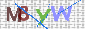画像に表示された文字を入力して下さい