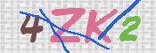画像に表示された文字を入力して下さい