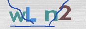 画像に表示された文字を入力して下さい