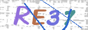 画像に表示された文字を入力して下さい