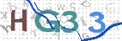 画像に表示された文字を入力して下さい