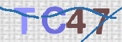 画像に表示された文字を入力して下さい