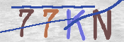 画像に表示された文字を入力して下さい