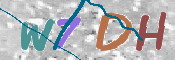 画像に表示された文字を入力して下さい