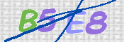 画像に表示された文字を入力して下さい
