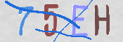 画像に表示された文字を入力して下さい