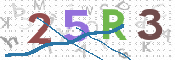 画像に表示された文字を入力して下さい