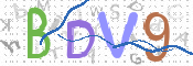 画像に表示された文字を入力して下さい