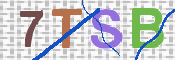 画像に表示された文字を入力して下さい