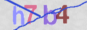 画像に表示された文字を入力して下さい