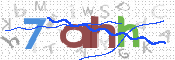 画像に表示された文字を入力して下さい