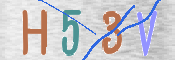 画像に表示された文字を入力して下さい