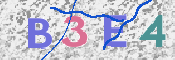 画像に表示された文字を入力して下さい