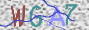 画像に表示された文字を入力して下さい