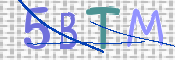 画像に表示された文字を入力して下さい