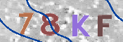 画像に表示された文字を入力して下さい