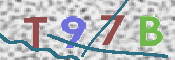 画像に表示された文字を入力して下さい