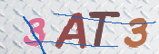 画像に表示された文字を入力して下さい