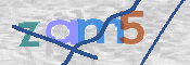 画像に表示された文字を入力して下さい