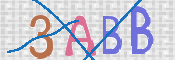 画像に表示された文字を入力して下さい