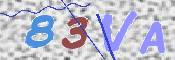 画像に表示された文字を入力して下さい