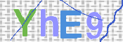 画像に表示された文字を入力して下さい