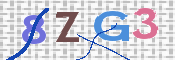 画像に表示された文字を入力して下さい