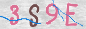 画像に表示された文字を入力して下さい