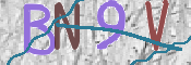 画像に表示された文字を入力して下さい