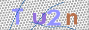 画像に表示された文字を入力して下さい