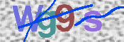 画像に表示された文字を入力して下さい
