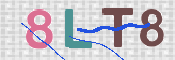 画像に表示された文字を入力して下さい