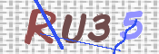画像に表示された文字を入力して下さい