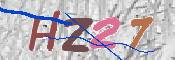画像に表示された文字を入力して下さい