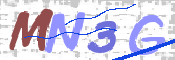 画像に表示された文字を入力して下さい