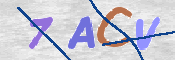画像に表示された文字を入力して下さい