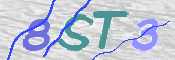画像に表示された文字を入力して下さい