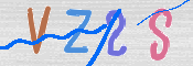 画像に表示された文字を入力して下さい
