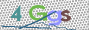 画像に表示された文字を入力して下さい