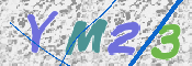 画像に表示された文字を入力して下さい